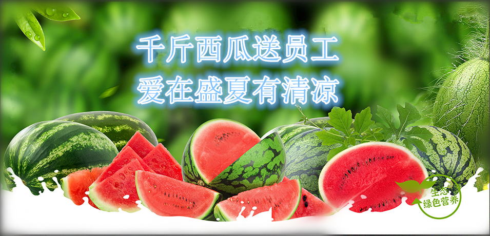 通達(dá)軟件公司： 千斤西瓜送員工，愛在盛夏有清涼